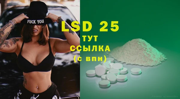 прущие грибы Арсеньев