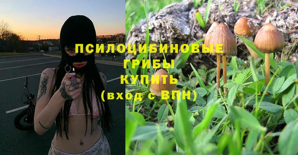 ALPHA PVP Армянск