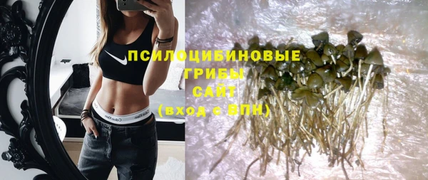 прущие грибы Арсеньев