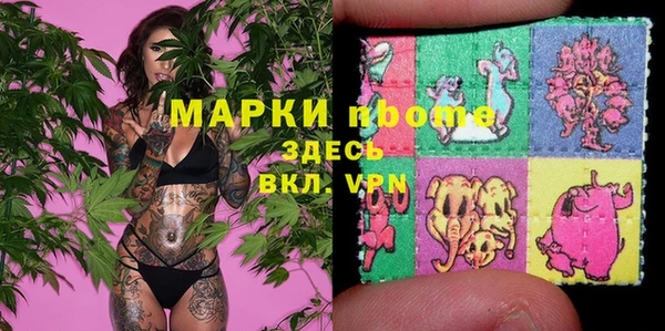 прущие грибы Арсеньев